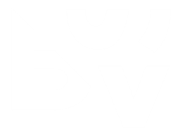 BSV logo